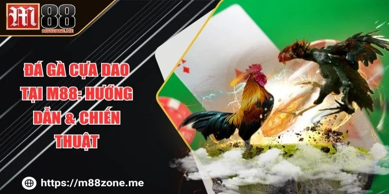 Đá Gà Cựa Dao tại M88: Hướng Dẫn & Chiến Thuật