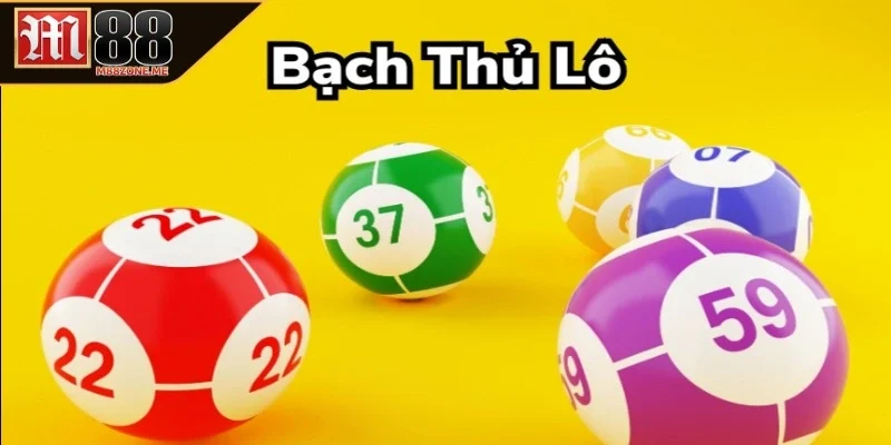 Đặc điểm bạch thủ lô