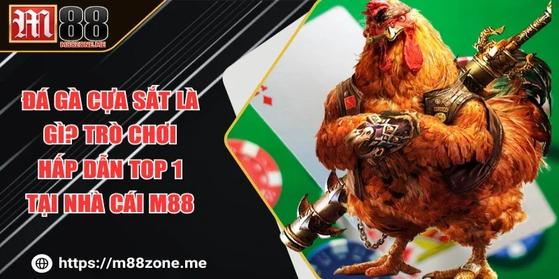 Đá Gà Cựa Sắt Là Gì? Trò Chơi Hấp Dẫn Top 1 Tại Nhà Cái M88